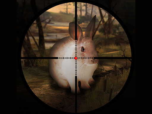 Classical Rabbit Hunting Game